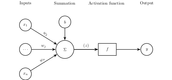 neuron